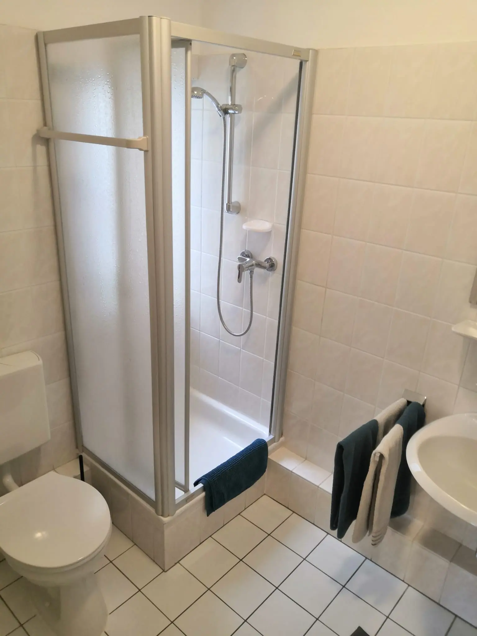 Dusche mit Glastür neben der Toilette